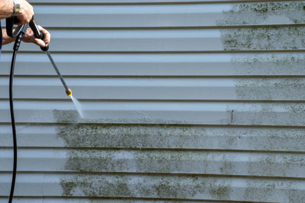 Best Shed Removal  in Hahnville, LA